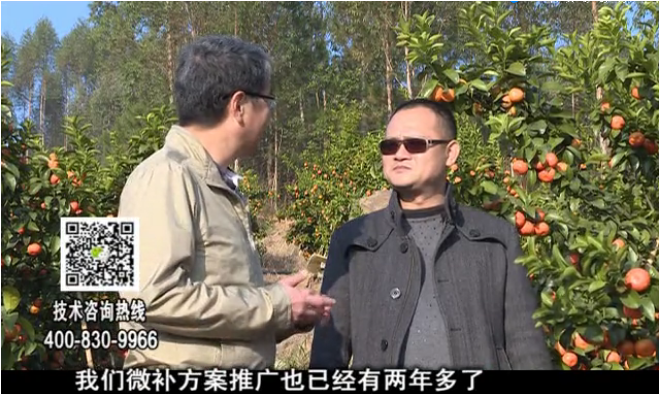 20180122珠江臺搖錢樹：廣西柑橘如何管？產量賣相好?